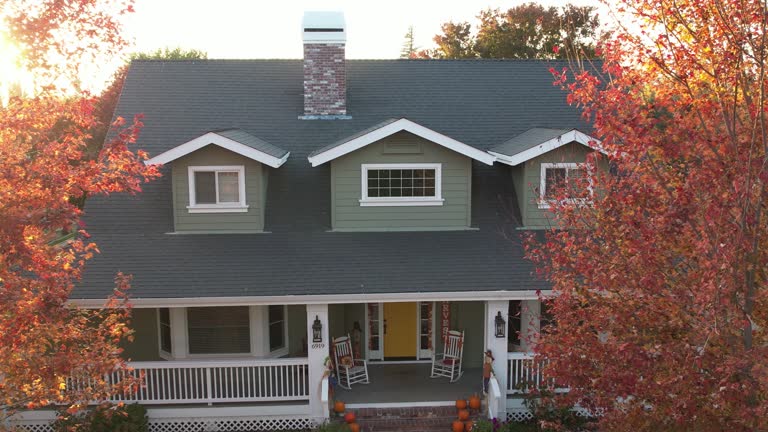 Best Skylight Installation and Repair  in Tyro, NC