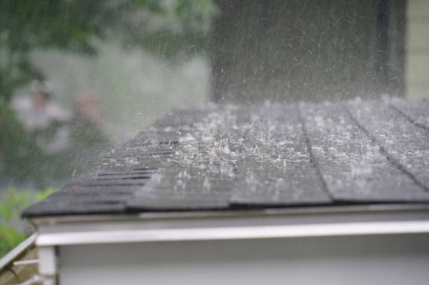 Best Roof Coating Services  in Tyro, NC