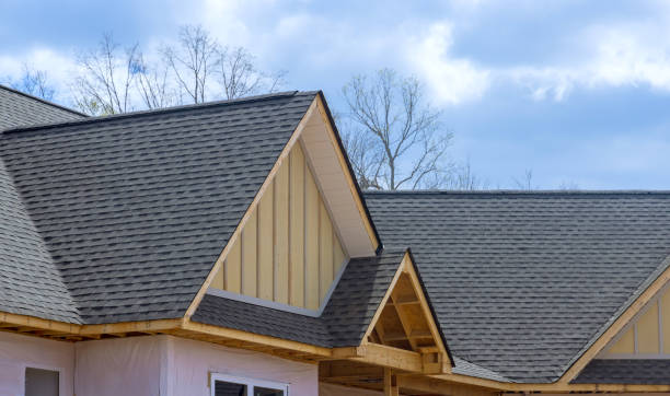 Best Solar Panel Roofing Installation  in Tyro, NC
