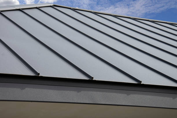 Best Skylight Installation and Repair  in Tyro, NC